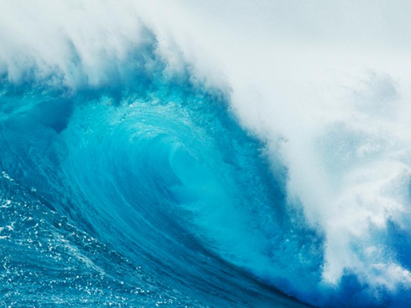 From the sea to the skin