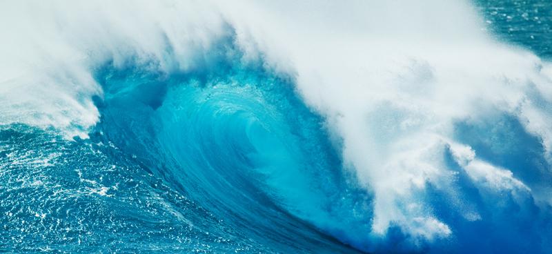 From the sea to the skin